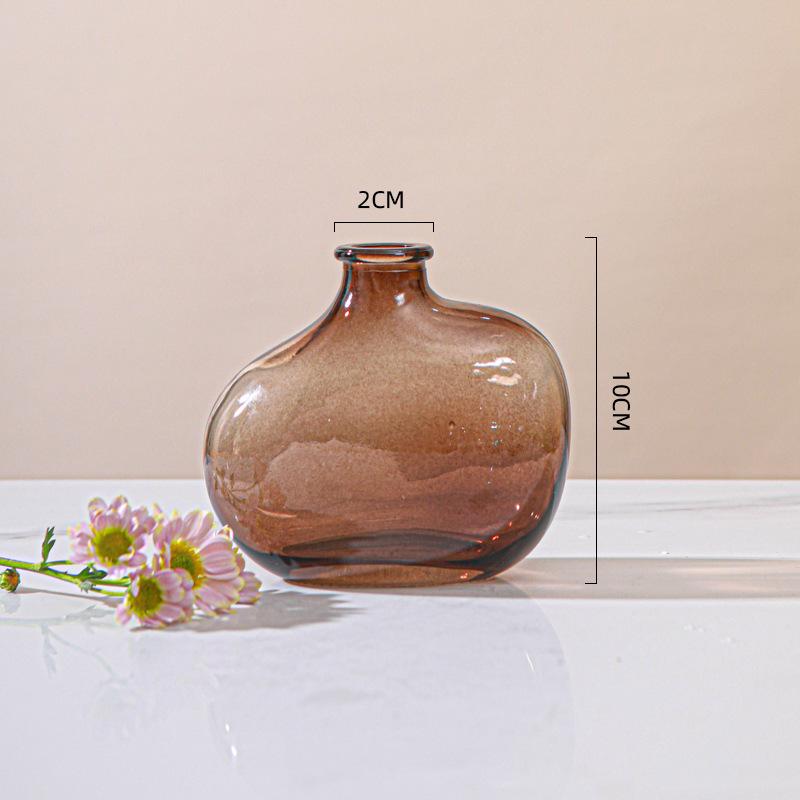 Minimalist Glass Vase for Hydroponic Green Plants - Perfect for Living Room Flower Arrangements and Home Decor