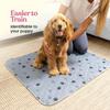 Tappetini assorbenti trapuntati lavabili per animali domestici - Tappetini da letto assorbenti antiscivolo per cani e gatti.