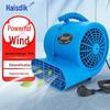 Haisidick Commercial Floor Dryer CN Plug (adapter Included)
