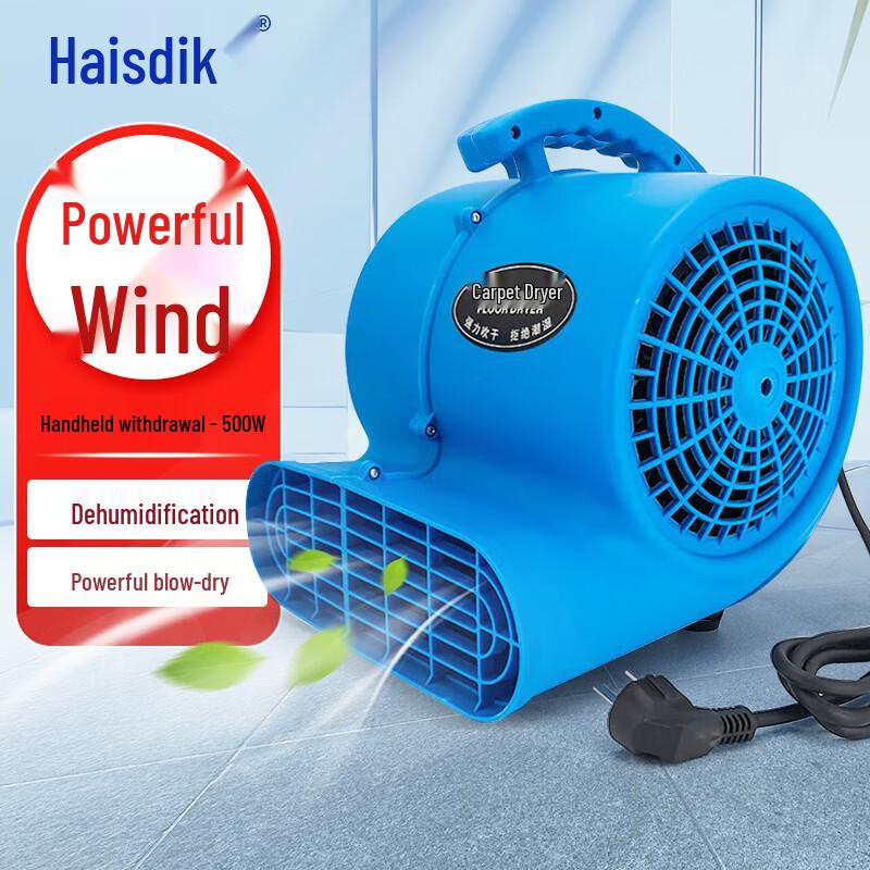 Haisidick Commercial Floor Dryer CN plug (adapter included)