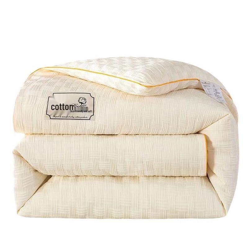 All-Season Thickened Soy Fiber Quilt