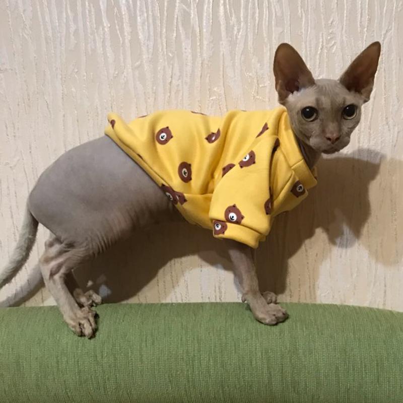 Spring Autumn Cat Clothes for Small Cats Kedi Katten Sphynx Pullovers Soft Fleece Puppy Dog Pet Hoodie Mascotas Clothing Outift