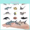 Simulated Deep Sea Ray Crab Squid Killer Whale Shark Model Desktop Ornament Set For Childrens Educational Playroom Decor