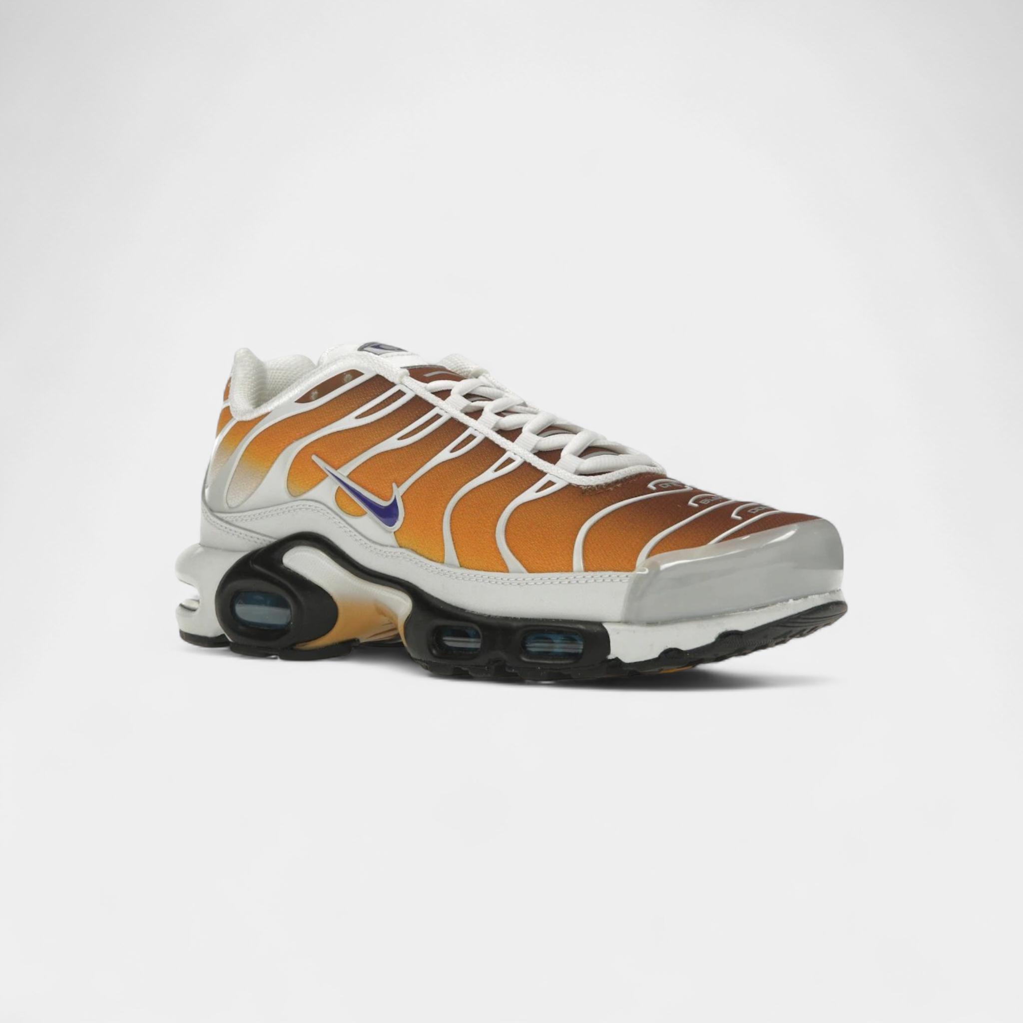 Nike Air Max Plus One Block