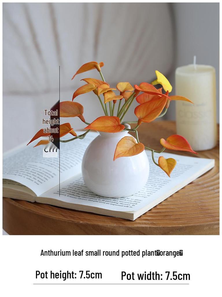 Miniature Succulent Bonsai Desk Ornament: Green Plant Props for Home or Office Decor