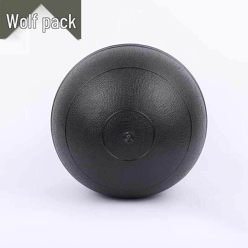 Fitness Sand Weight Ball