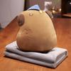 MultiFunctional Cartoon Capybara Pillow Blanket Combo Soft Cotton Throw  Chair Cushions for Kids Teens and Adults