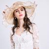 A New Summer Anti-ultraviolet European and American Women's Fashion Hat, Big Flower Fashion Mesh Hat, Big Edge Hat.