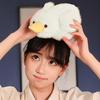 Cute Explosive Hair White Duck Doll Toy Yellow Duck Soothing Sleep Big Goose Pillow Day Gift for Female (Toy Playsets)