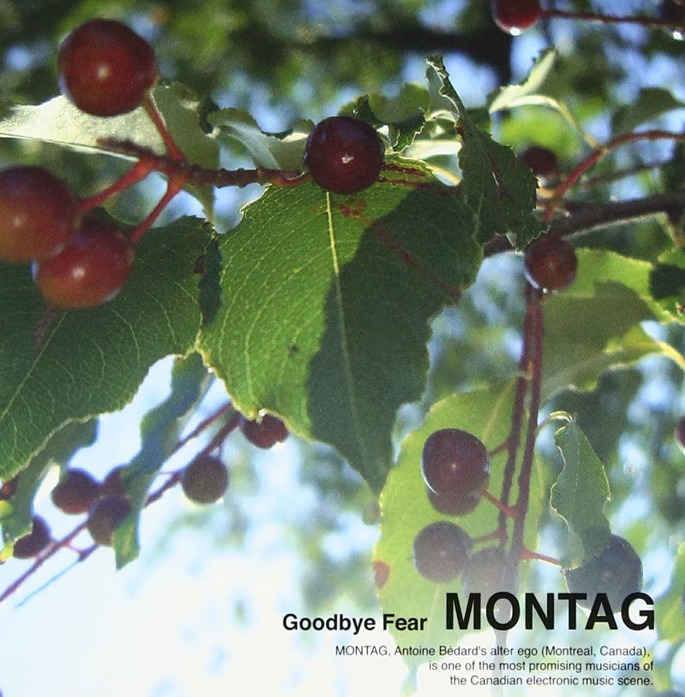 

CD MONTAG - GOODBYE FEAR RYECD014 Japan ObiDance & Electronica Used