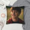 Y2K Seat Will Byers  Decor Pillowcase Merch  Pillow Covers Square Multiple Sizes