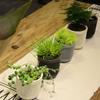 Double-Layer Hanging Plant Holder Lazy Water Plastic Basket Wall Flower Pot