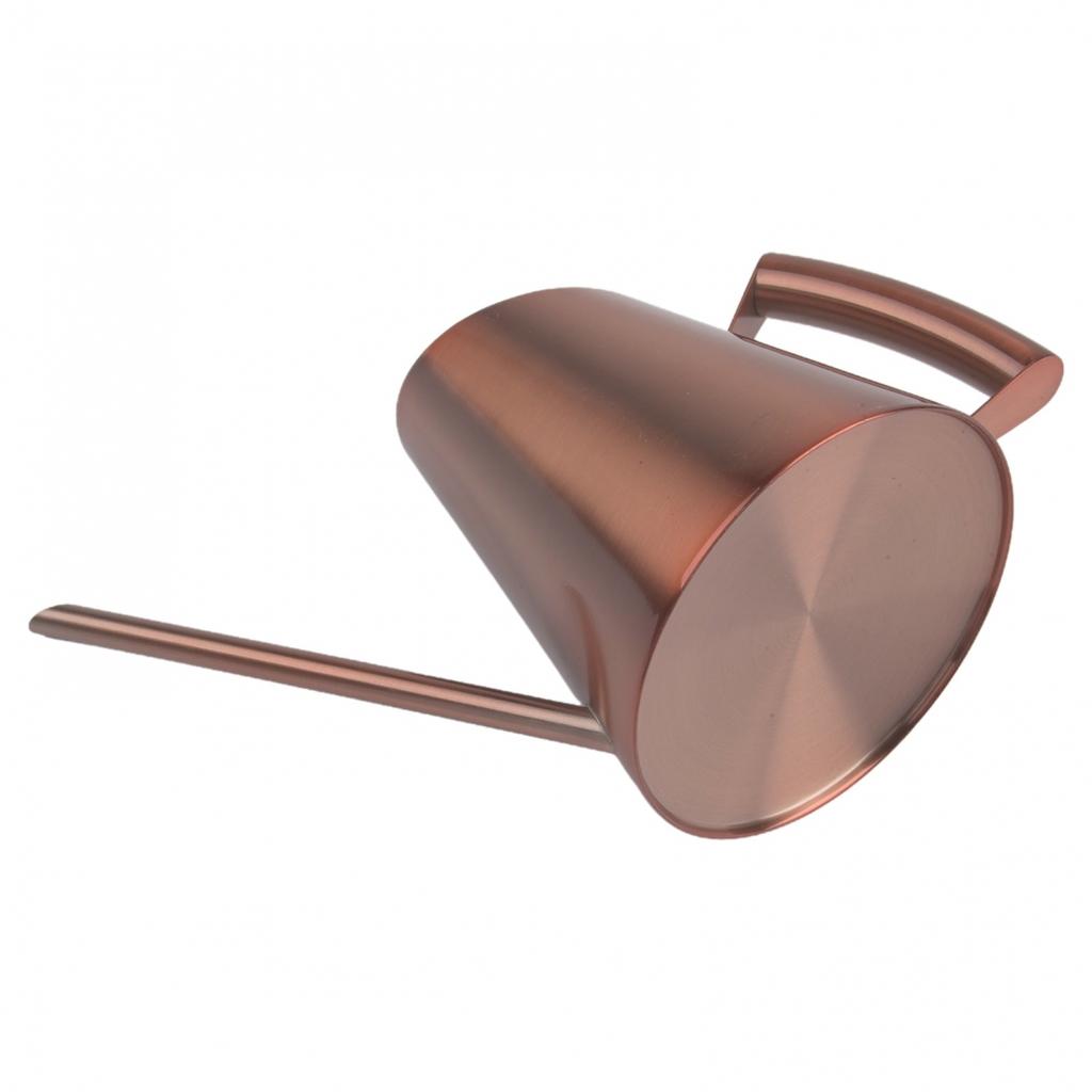 Stilvolle Gießkanne mit langem Ausguss aus Edelstahl: Für Zimmer- und Außenpflanzen