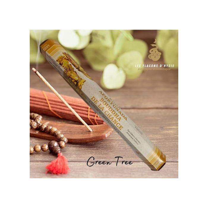 Bougeoir - Photophore - Bougie - Senteur &gt; Encens - Encens Green Tree Bouddha Chanceux - - Green Tree