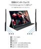 JAPANNEXT Mobile IPS Full HD 1920x1080 Resolution PC 15.6-inch Monitor, Panel, (Type C, Compatible, Built-in Speakers, 100% sRGB, Matte)