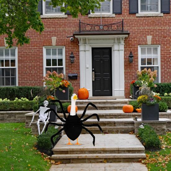 Halloweenský husí outfit Pavouk Netopýr Husí socha Kostým Husí oblečení s popruhy