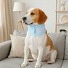 Mesh Cat Recovery Collar Adjustable Breathable Dog Neck Support Collar Comfortable Soft Cat Elizabethan Collar