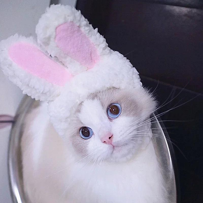 

Різдвяний одяг для кота Крила кажана Костюм для собаки Бантик Нашийник для кота Косплей Намисто Шарф Літній сонцезахисний капелюх Для домашніх тварин Собаки Коти Ковбойські капелюхи