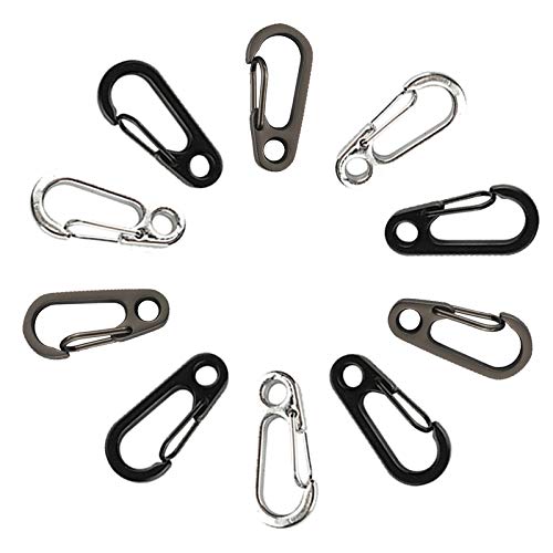 TEMLUM Carabiner, Small Mini Carabiner, Set of 10, Snap Hook,