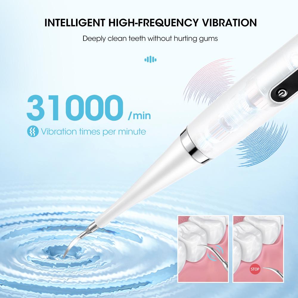 Portable Electric Dental Scaler & Toothbrush Set - Teeth Cleaning, Plaque & Calculus Removal, Whitening Device