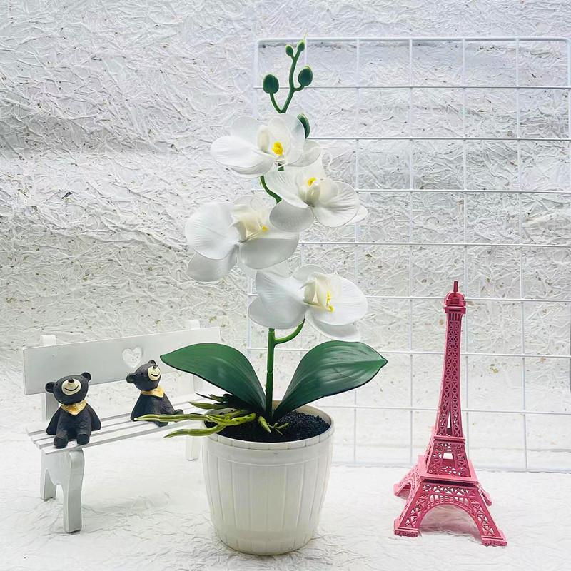 Flower Simulated Four Phalaenopsis Artificial Green Plant Potted Decor Indoor