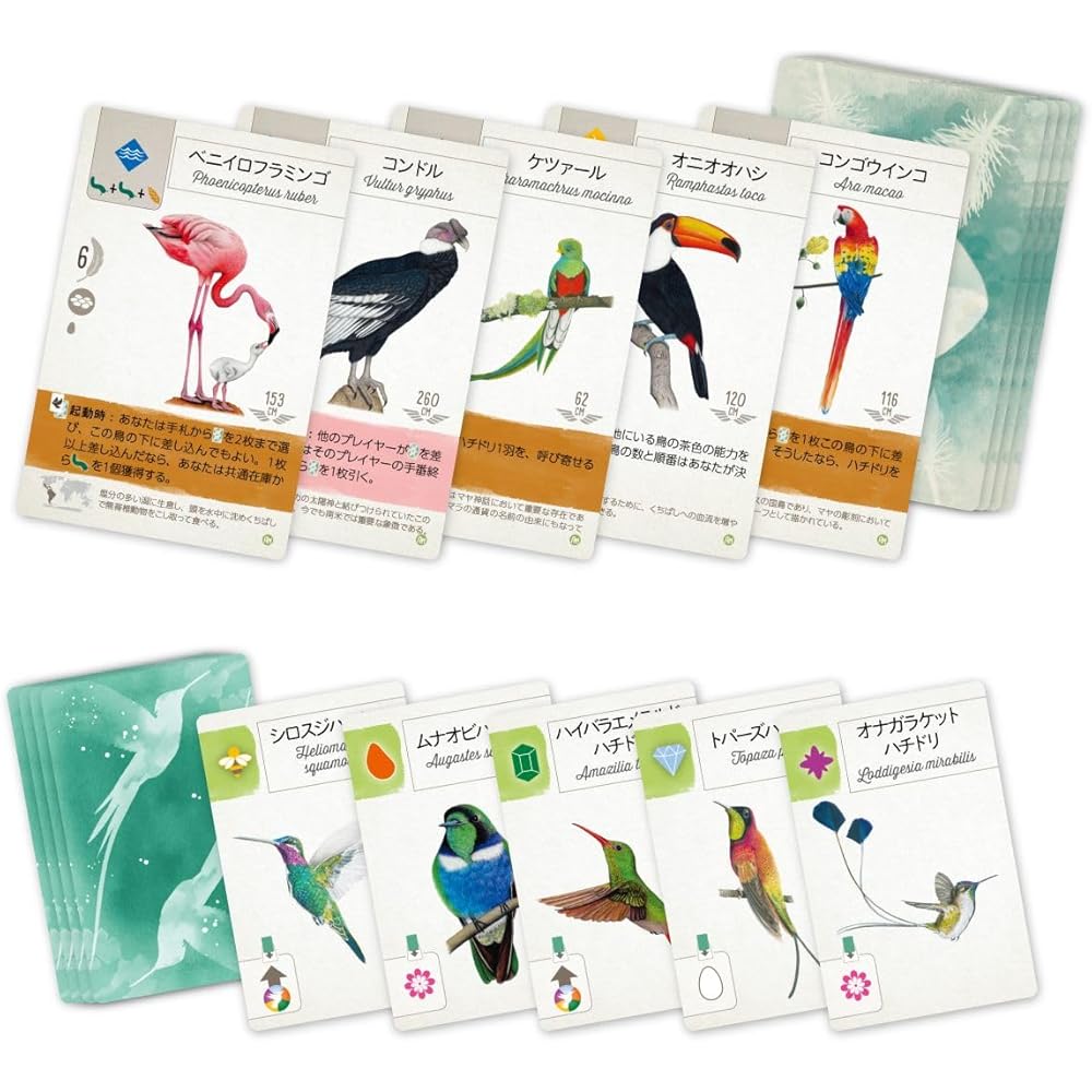 Arclight Wingspan Expansion Latin America Board Game Set for 1-5 Players Ages 10+ 40-70 Minutes Playtime