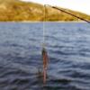 10# Barbed Hook Fishing Lure Set Insects Bait Fly Nymph Stonefly Lure