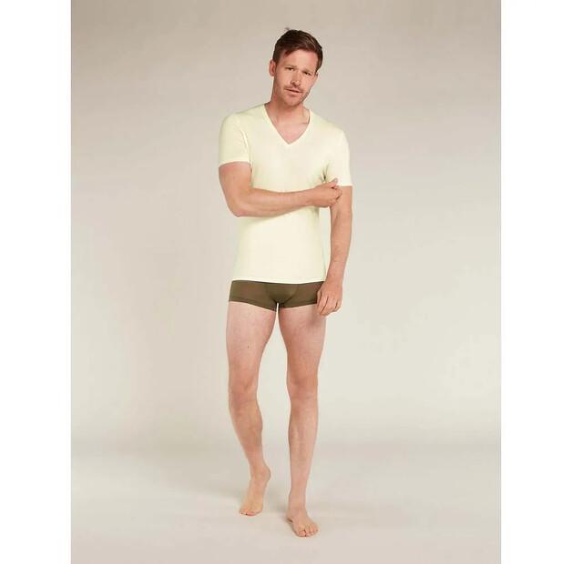 Icebreaker Базовый слой с коротким рукавом Merino 150 Anatomica V