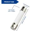 20A Amp 250V Slow-Blow Ceramic Fuse, 6x30mm (0.24 x 1.18 inches) – Universal Replacement for GE WB27X10388, Whirlpool, Kenmore, KitchenAid,