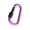 Aluminum Alloy Carabiner D-Ring Shape Key Chain Clip Hook Camping Outdoor Buckle