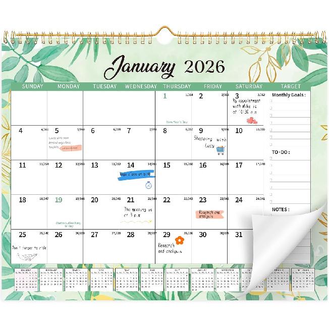 Wall Calendar 2026-2027, 18 Month Large Desk Calendar from January 2026 To June 2027 14.5" X 11.8" Monthly Calendar with Twin-Wire Binding for Home