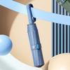 Accessoires – Regenschirme