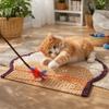 Anti-Slip Pet Feeding Mat Wear Resistant Cat Dining Mat Doormat Dog Drinking Pad  Outdoor