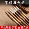 Tan Yexuan Professional Chinese Calligraphy Brush Sets