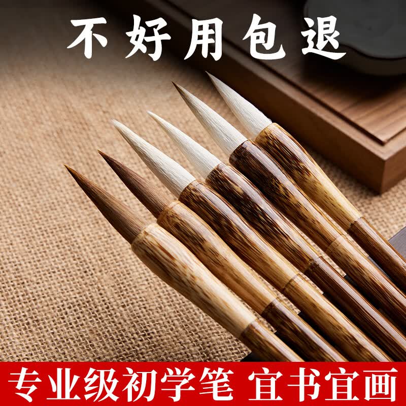 Tan Yexuan Professional Chinese Calligraphy Brush Sets