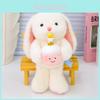 Plush Rabbit Doll With Holding A Cake Design For Kids Gift And Collection