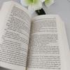 A Little Life - by Hanya Yanagihara (Paperback)