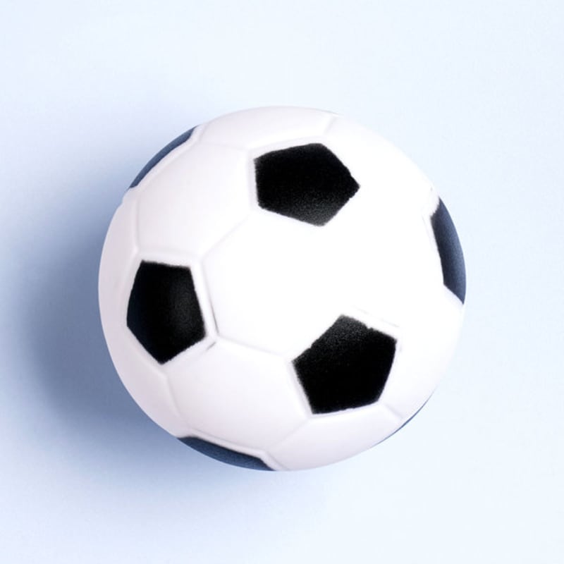 [Haustier] Quietschspielzeug zum Ballspielen