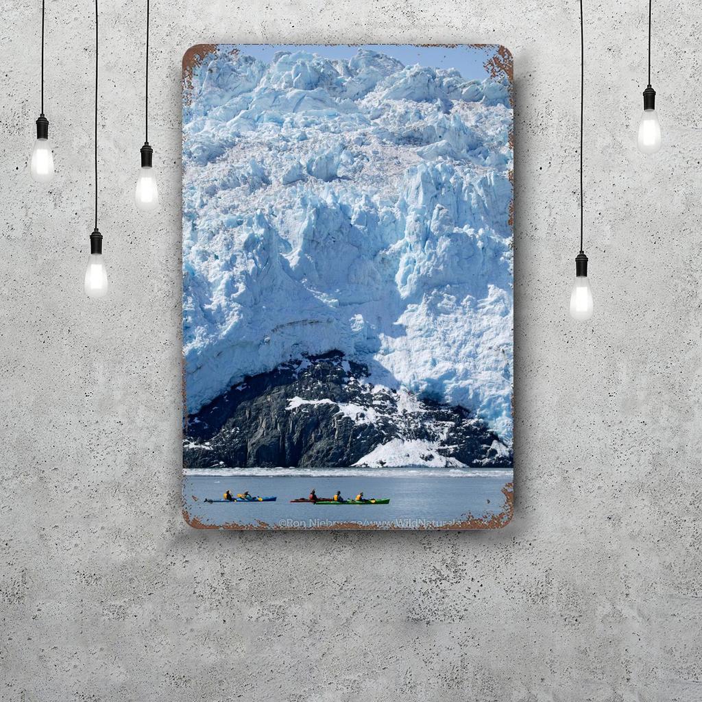 kenai fjords national park Decor Poster Vintage Tin Sign Metal Sign Decorative Plaque for Pub Bar Man Cave Club Wall Decoration
