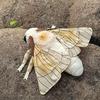 Silkworm Moth Plush Realistic Handmade Silkworm Stuffed Realistic Soft Large Winged Moth Toy Birthday Festival Collection Soft Silkworm Model