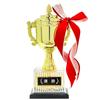 23.5cm Tall Resin Trophy with Victory Plate and 5 Pennants (CP-167A)