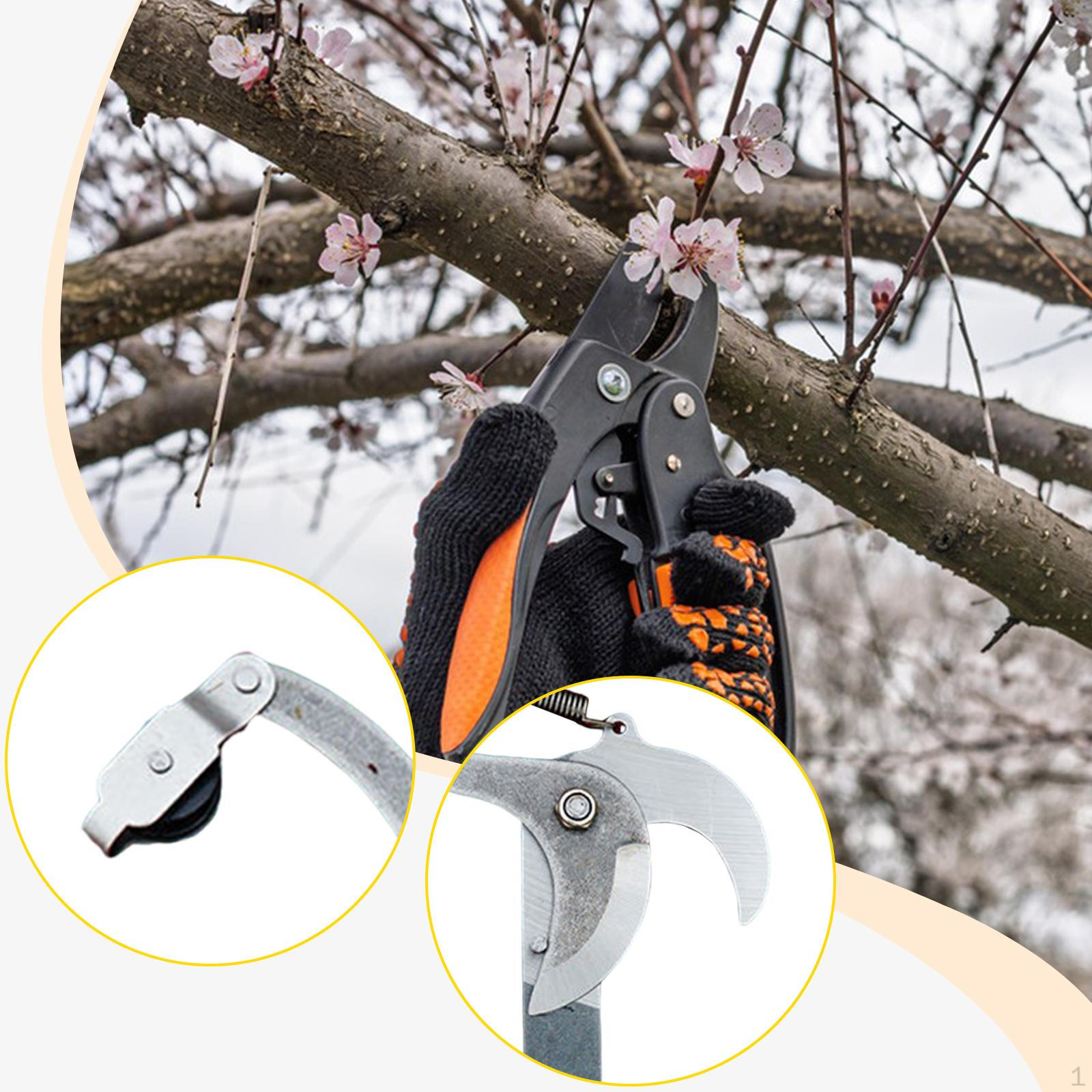 

High Altitude Pruning Shear Branches Trimmer Fruit Picker Professional Garden Scissor Rope Included S
