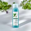 [Oily Scalp & Scalp Cooling] Aqua Mint Cool Sebum Dry Shampoo 150ml (2 Bottles)