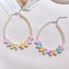 Îmbrăcăminte și încălțăminte – Accesorii pentru câini