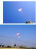 Retro Handicraft Bamboo Swallow Kite - 60cm x 80cm Chinese Style Dance Decoration Prop for Kids (2026 Edition)