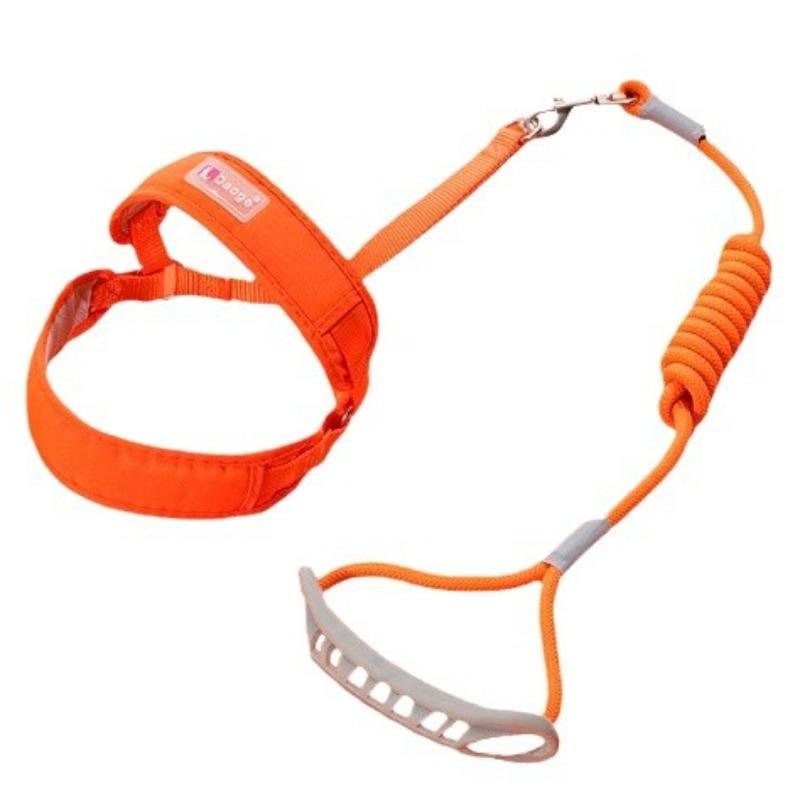 Teddy Dog Universal Leash, Anti-escape, No Neck Constriction, Lightweight Chest and Back Strap, Net Port Pet