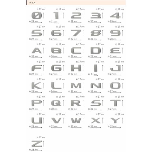 RL Emblem Customized Font Emblem Plated M/CE733