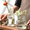 1/2pc Transparent Glass Vases Striped Hydroponic Plant Flower Pot  Living Room Bedroom Floral Plant Bottle Desktop Vase Decor
