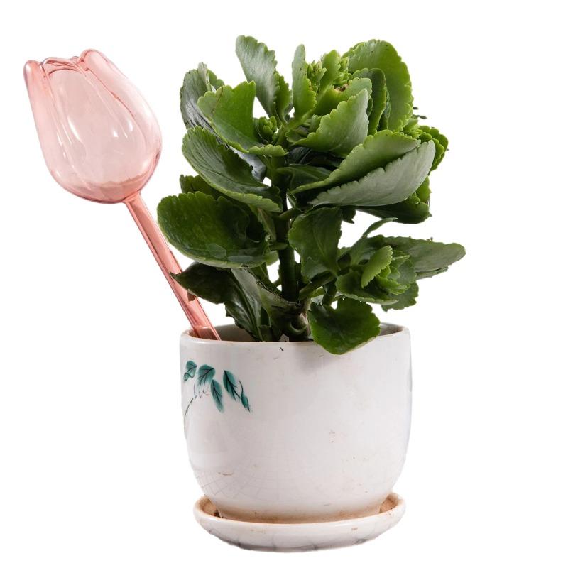 

1/3/5 шт. Стеклянная автоматическая поилка в форме цветка тюльпана, капельница для полива растений, легкое устройство для комнатных растений и сада, система капельного полива Champagne-5pcs