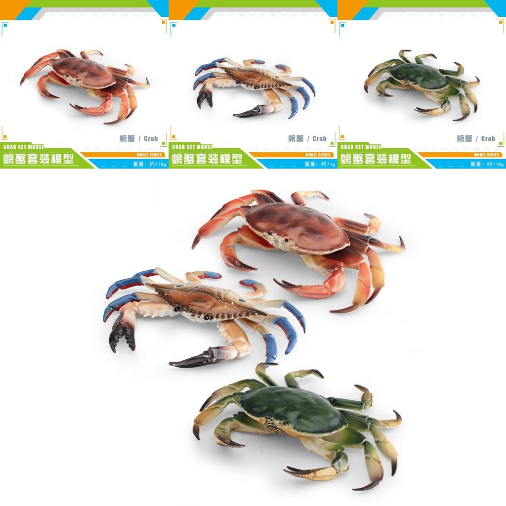 Marine Life Crab Replica For Kids Learning Aquarium Decoration Pvc Collectible